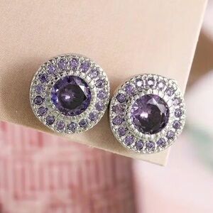 Elegant Silver and Purple Rhinestone Stud Earrings